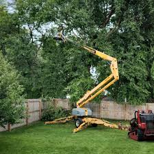 Best Utility Line Clearance  in Sulphur, OK