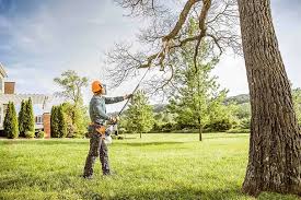 Best Lawn Pest Prevention  in Sulphur, OK