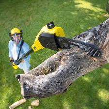 Best Utility Line Clearance  in Sulphur, OK