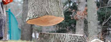 Best Firewood Processing and Delivery  in Sulphur, OK