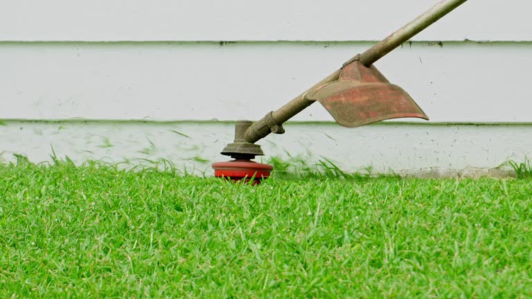 Organic Lawn Care Solutions in Sulphur, OK