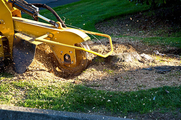 Best Lawn Mowing  in Sulphur, OK