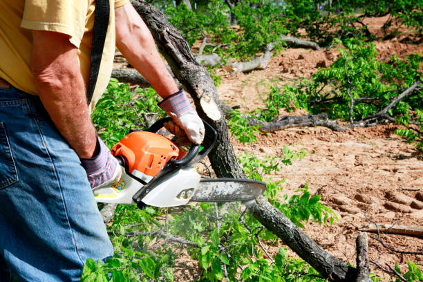 Best Lawn Mowing  in Sulphur, OK